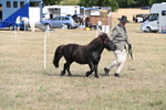 WJ6_6813