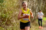 Livirelays25-929906