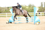 SBM_002690