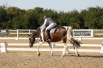 SBM_007010