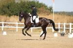 SBM_008535