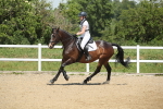 SBM_012371