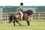 SBM_06818