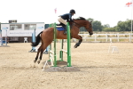 SBM_001931