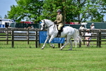 SBM_03761