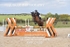 BPP_0695