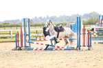 SBM_001662