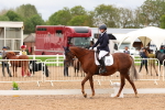 SBM_00991
