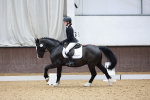 SBM_000972