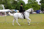 SBM_02872