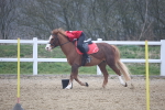 SBM_003362