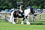SBM_12114