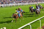 230824-Race 5-Canoodled-9748