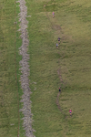 Ennerdale-584