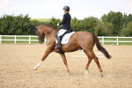 SBM_002861