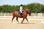 SBM_011801