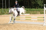 Class 13: Pony British Novice/80cm open portfolio