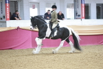 SBM_08913