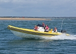 090822 SCORPION RIB IMG_0863