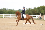 SBM_002194