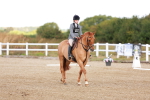 SBM_009245