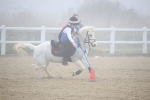 SBM_001029