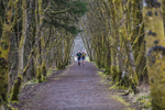 Kielder Ultra-1080