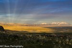 Golden Spike Golden sunset