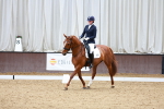 SBM_001982