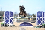 Cls 3 Snr Foxhunter portfolio