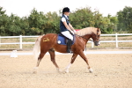SBM_006569