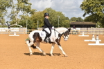 SBM_05592