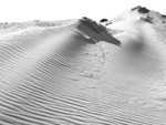 Dunescape 04