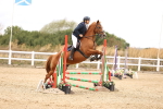 SBM_007423