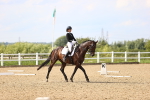 SBM_002819