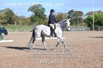 BPP_8414