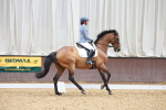 SBM_001831