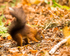 20131001-3K8A6419