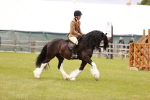 SBM_06189