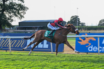 140826-Race 4-Raging Raj-1324