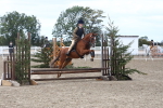 SBM_14630