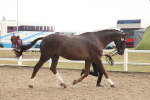 SBM_07723