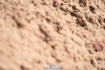 230902A-132830-01401