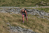 Hartsop Hop-511