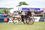 SBM_05939