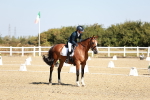 SBM_017315