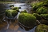 Brockmill Stones C