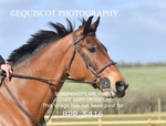 BPP_5416