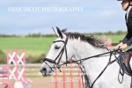 BPP_3607