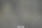 230909-175716-07367